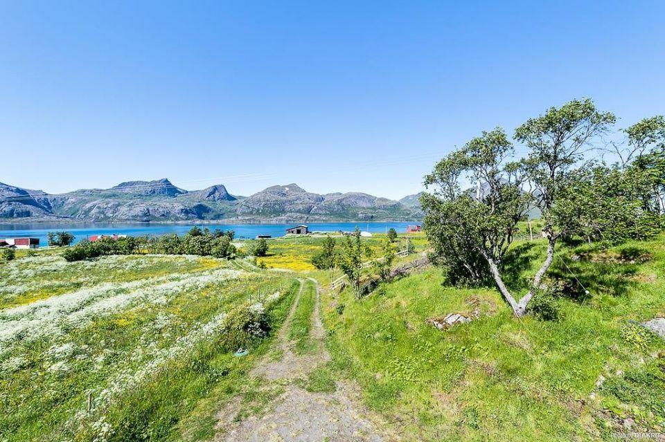 Vevika Lofoten Villa Gravdal  Luaran gambar