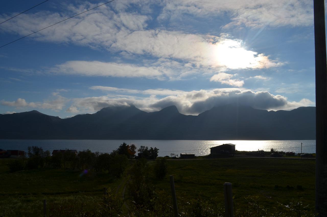 Vevika Lofoten Villa Gravdal  Luaran gambar